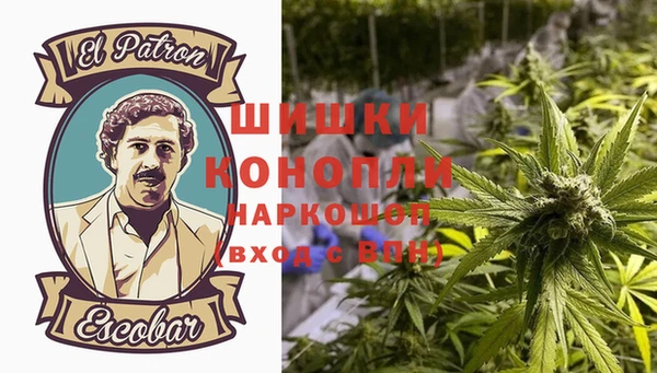 гидропоника Бородино
