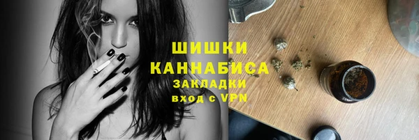 гидропоника Бородино