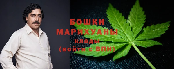 гидропоника Бородино