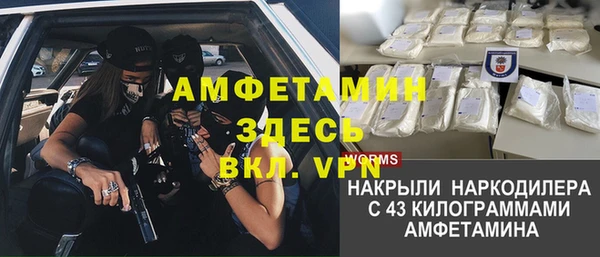 шишки Бронницы