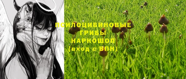 крисы Богородицк