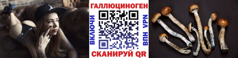 Галлюциногенные грибы Magic Shrooms Горно-Алтайск